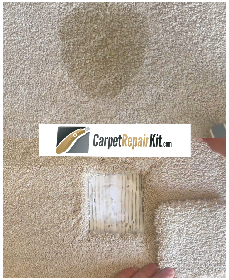 Oil & Grease Marks carpet repair kit