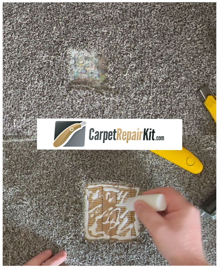 Pet Damage Hole Carpet Patch Repair Kit