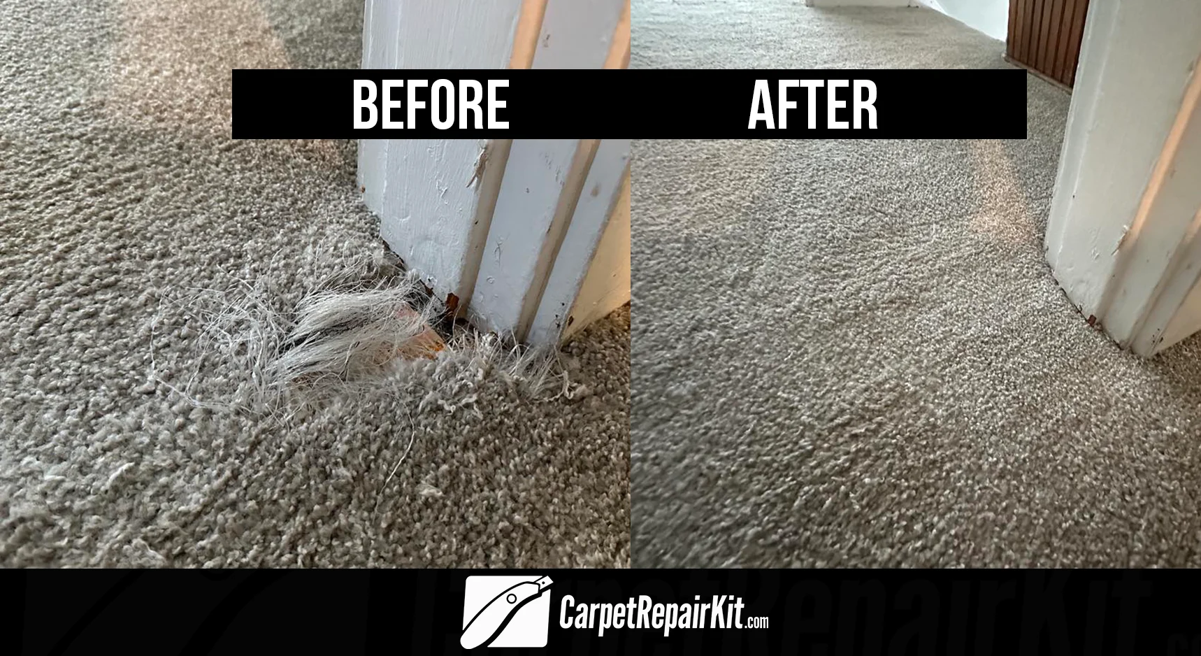 carpet-repair-kit-pet-damage1.webp
